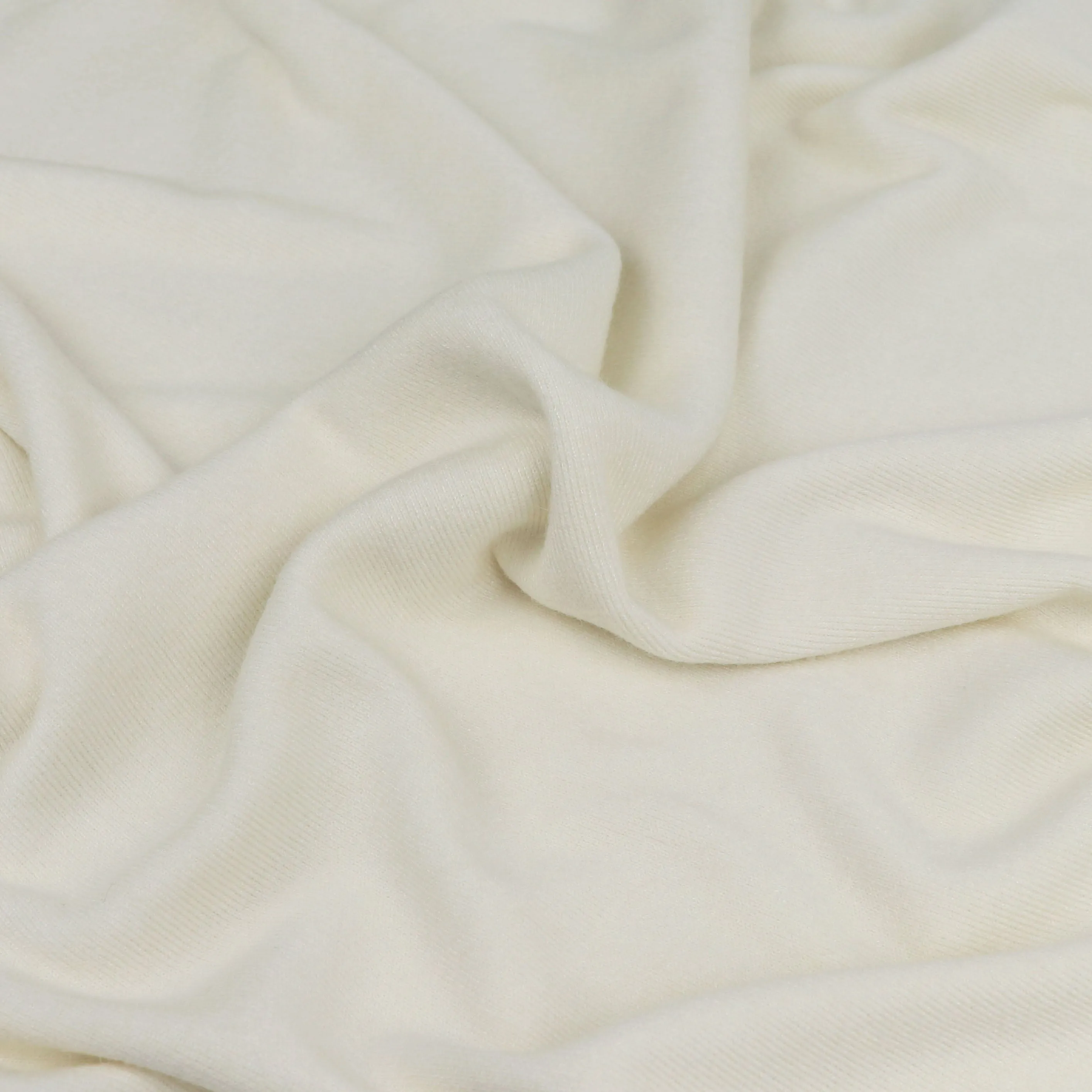 Brushed Ribbed Jersey Knit - Light Cream