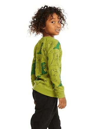 Chaser Kids Dino Sweater in Lima Bean