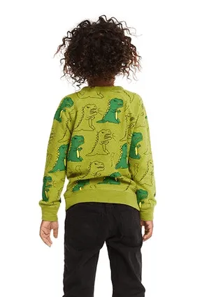 Chaser Kids Dino Sweater in Lima Bean