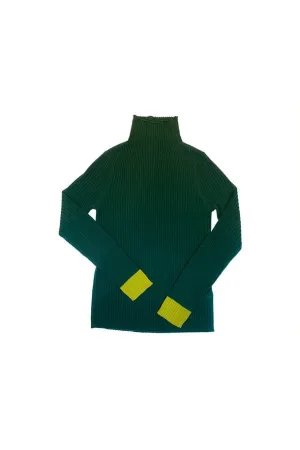 color block turtle neck (100% fine wool)
