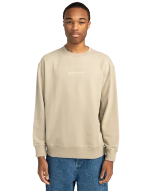 Cornell Cipher Crew Sweatshirt in Aluminum