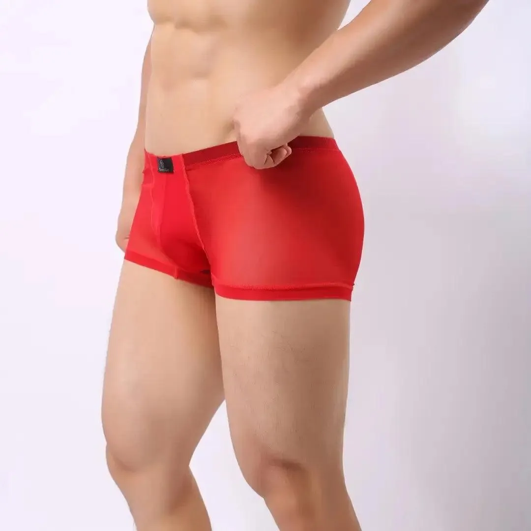 DomiGe Men Sexy Underwear Modal Sheer Mesh Boxers
