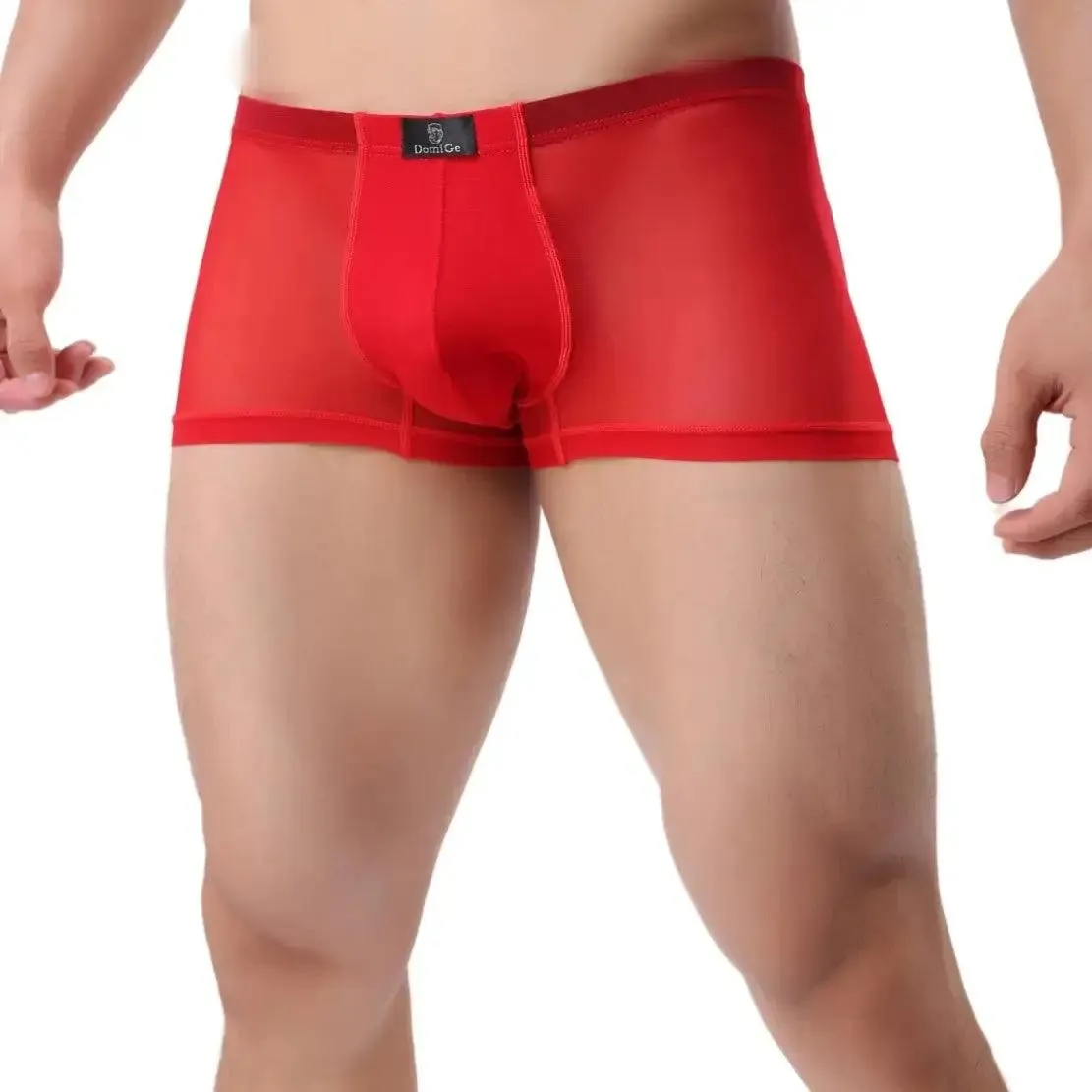 DomiGe Men Sexy Underwear Modal Sheer Mesh Boxers