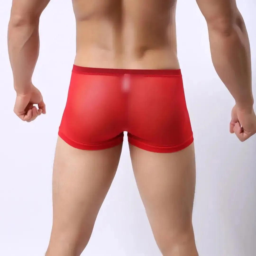 DomiGe Men Sexy Underwear Modal Sheer Mesh Boxers