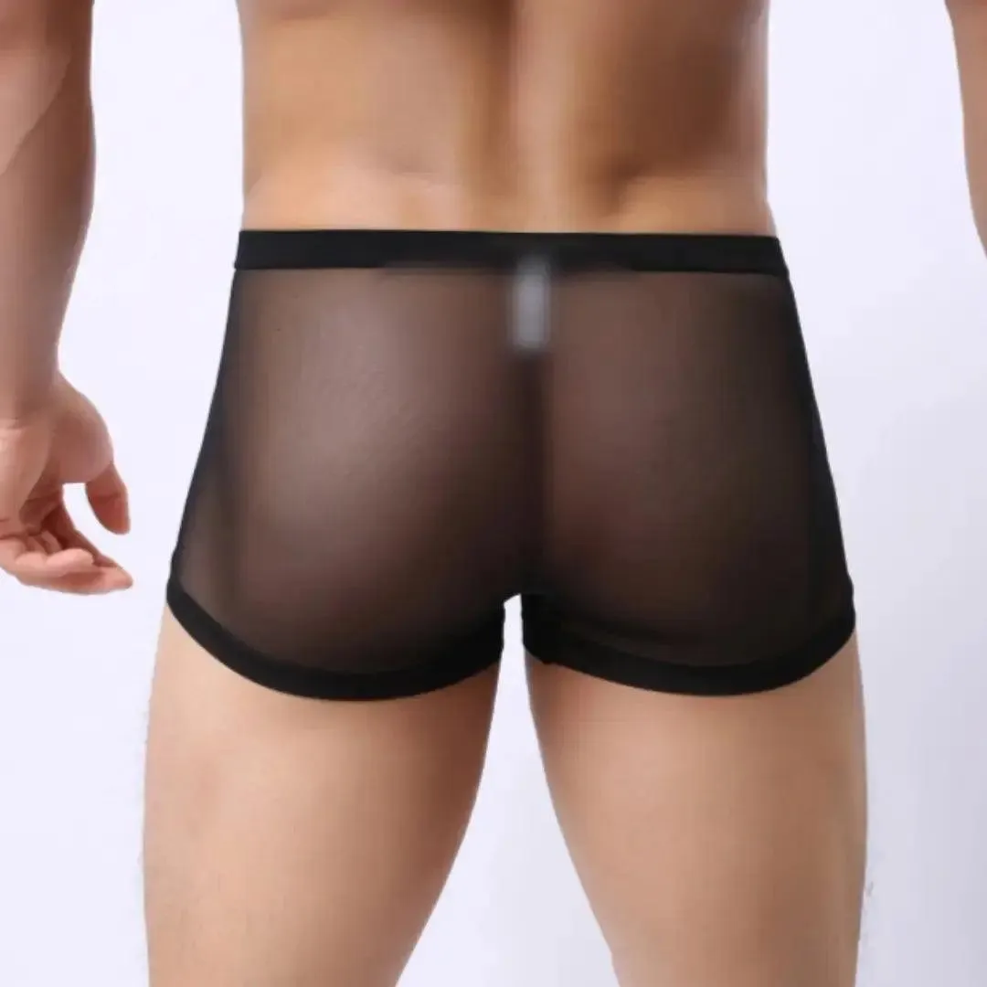 DomiGe Men Sexy Underwear Modal Sheer Mesh Boxers