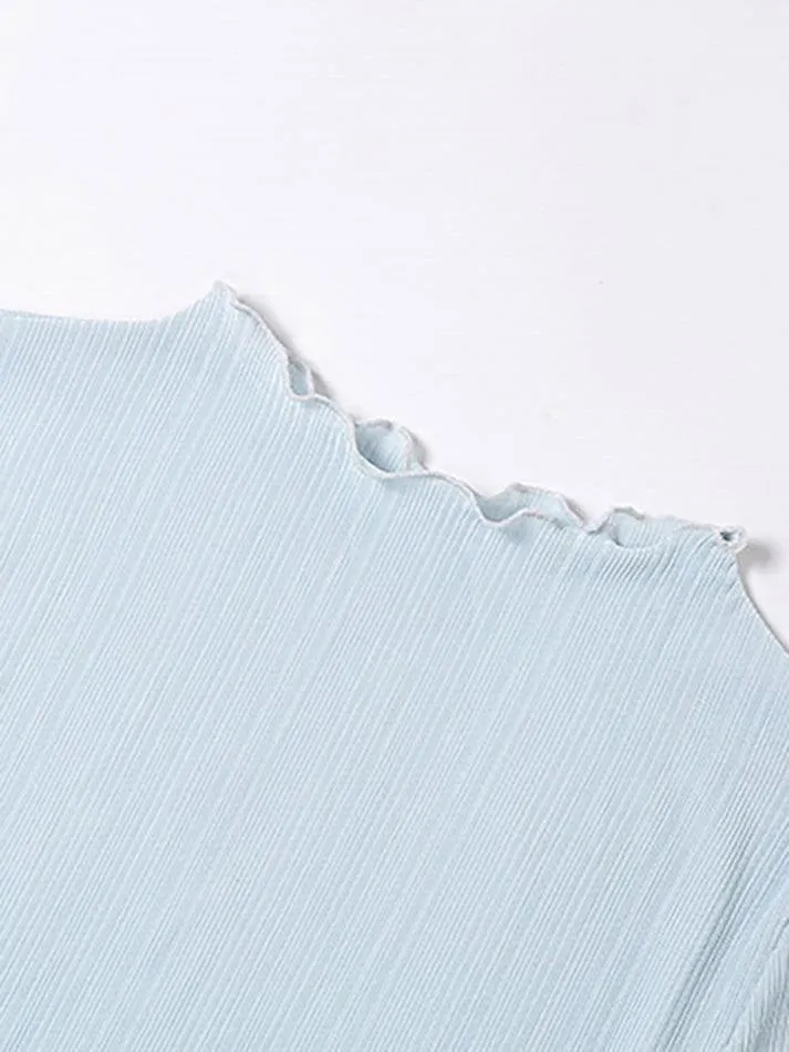 High Neck Semi Sheer Knit Top