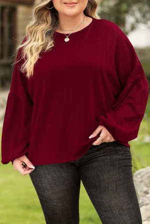 Ruby Plus Size Balloon Sleeve Textured Knit Top - Stylish Wear