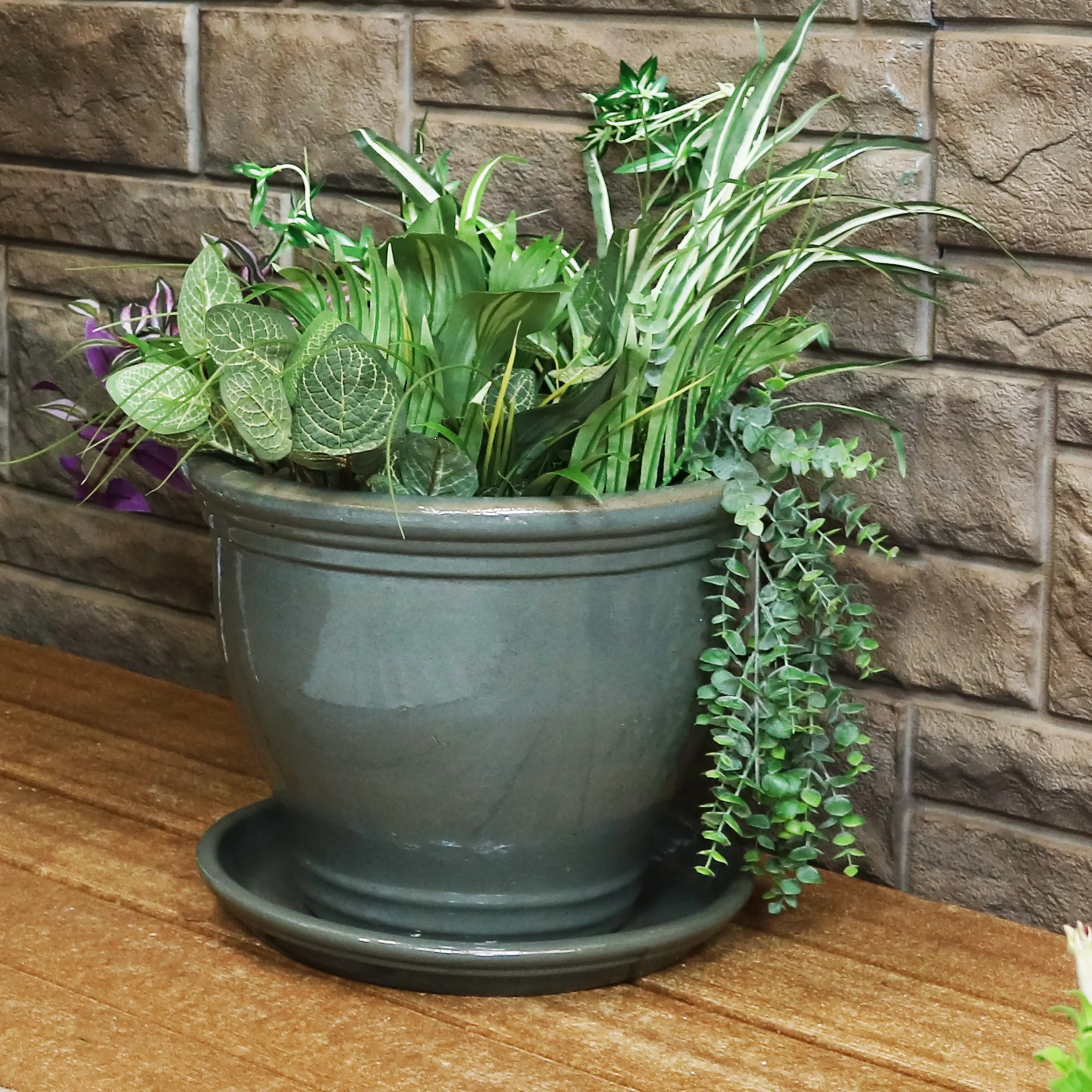 Sunnydaze Set of 2 Glazed Ceramic Planter Saucers