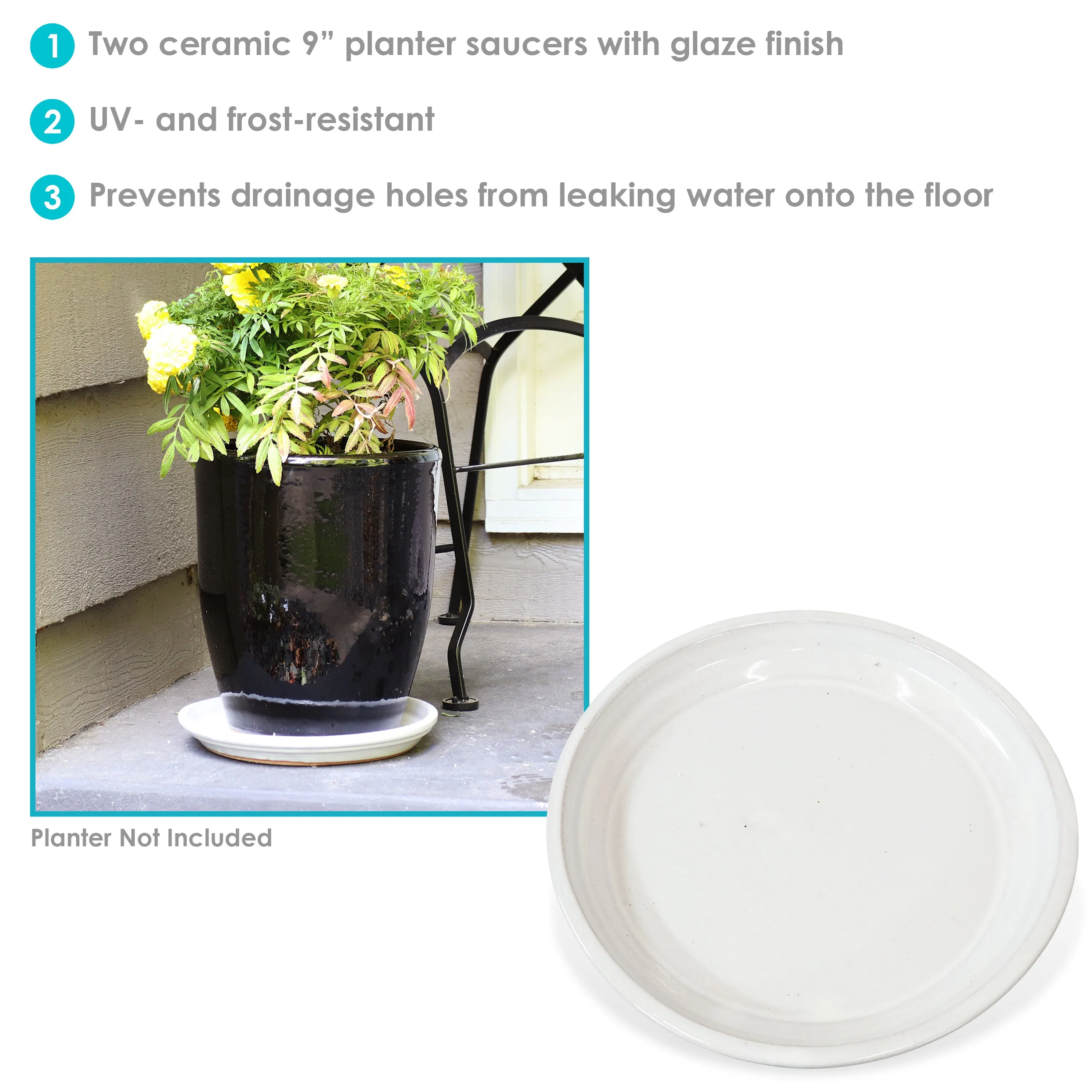 Sunnydaze Set of 2 Glazed Ceramic Planter Saucers