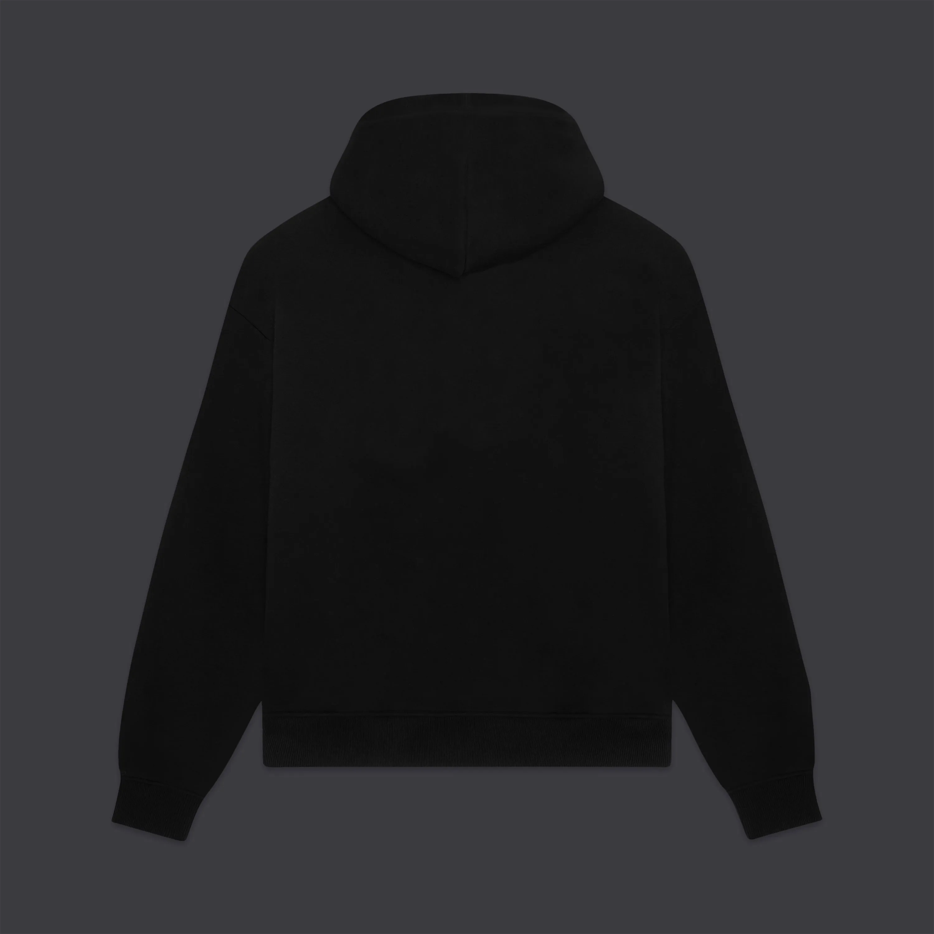 Tomioka Giyu Hoodie